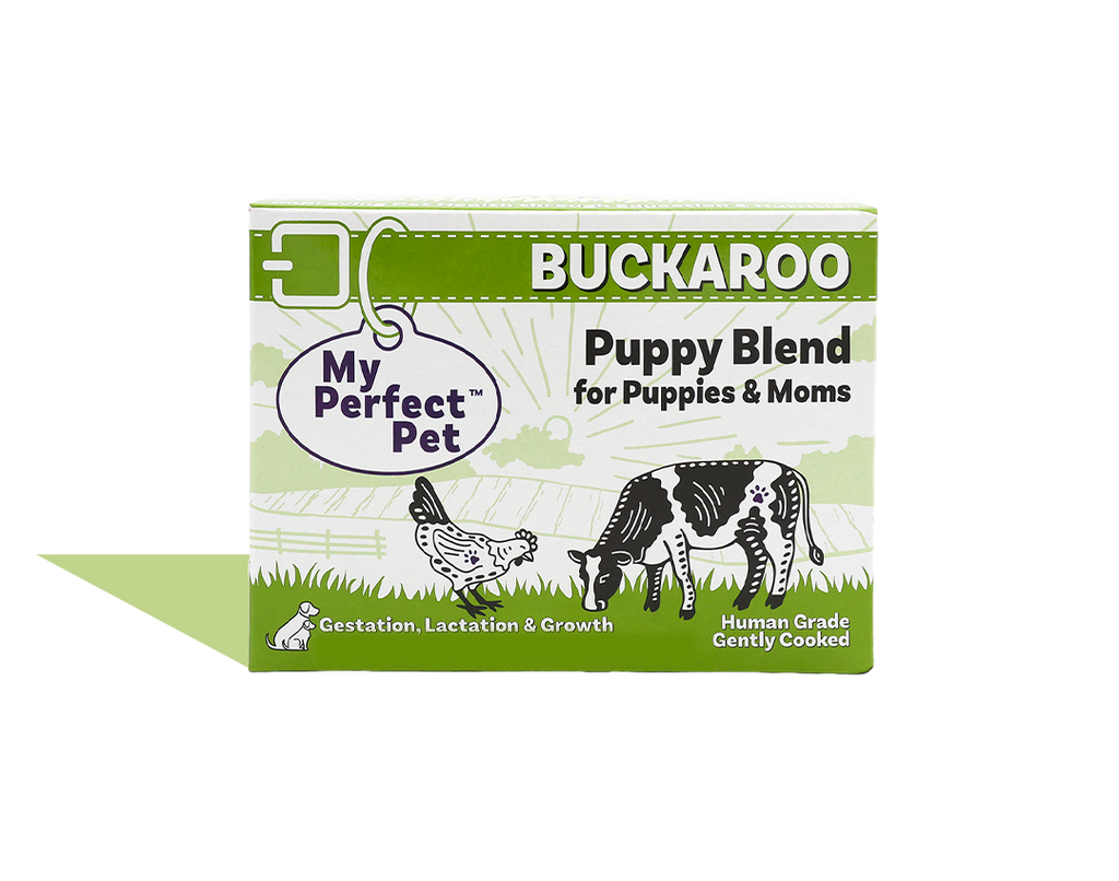Chicken for Puppies