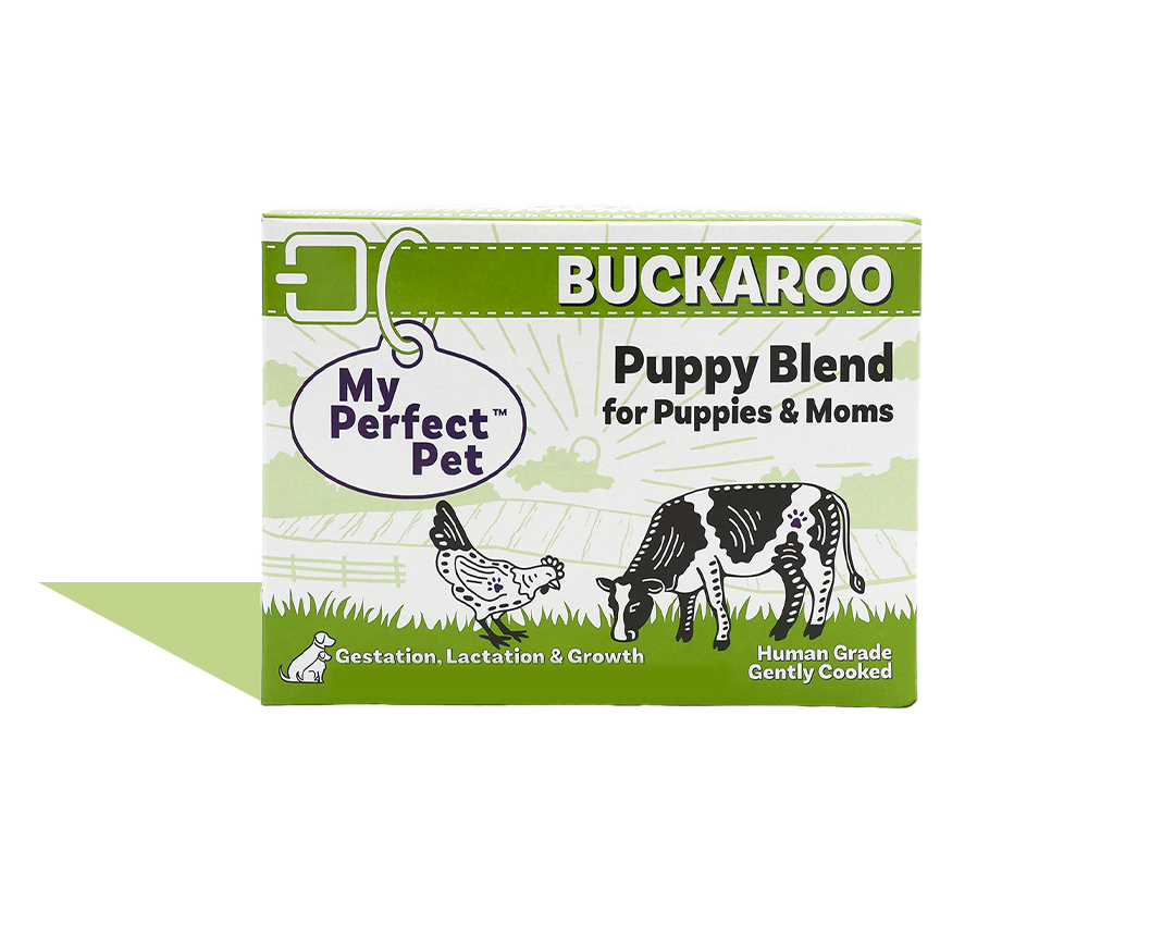 Chicken for Puppies