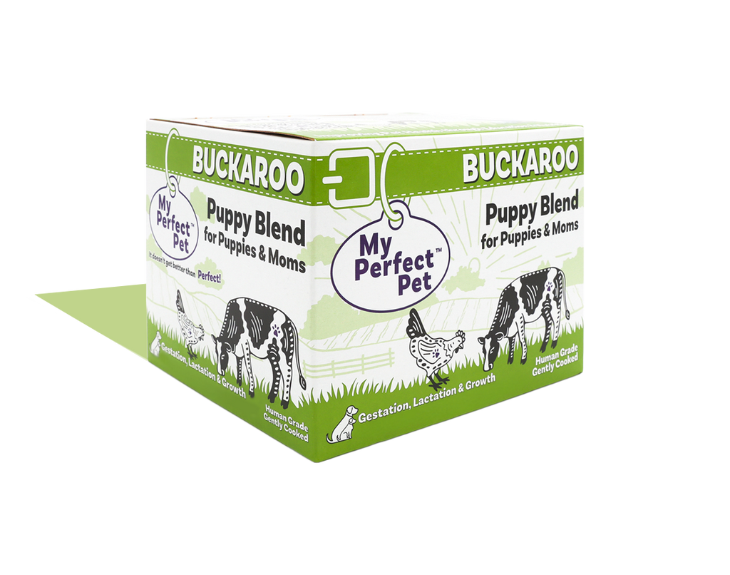 Chicken for Puppies