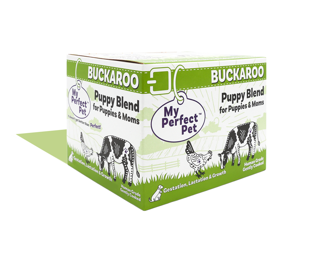 Chicken for Puppies