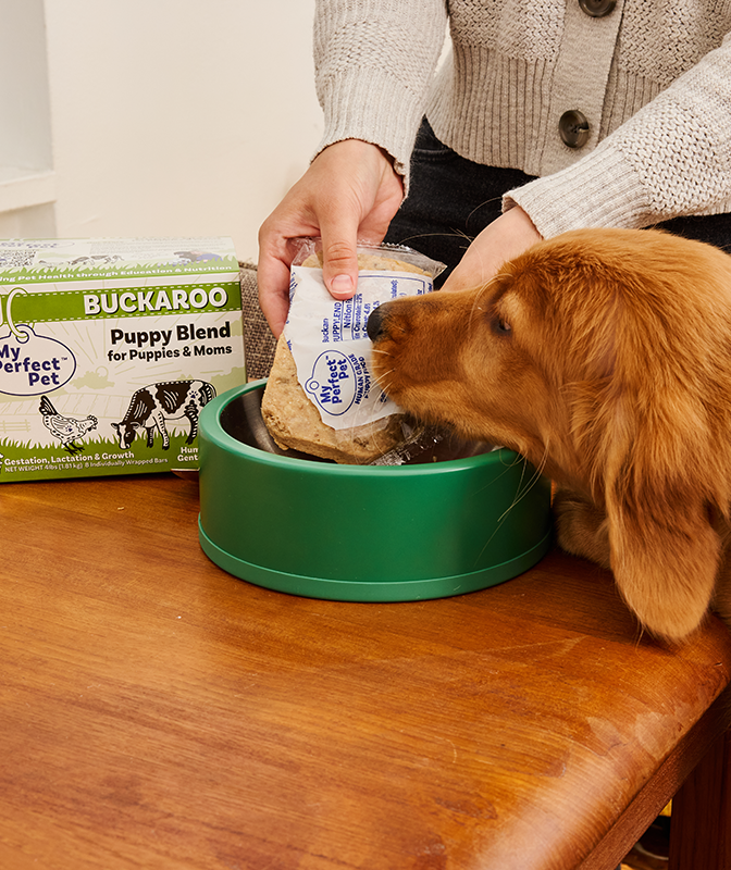 Chicken for Puppies