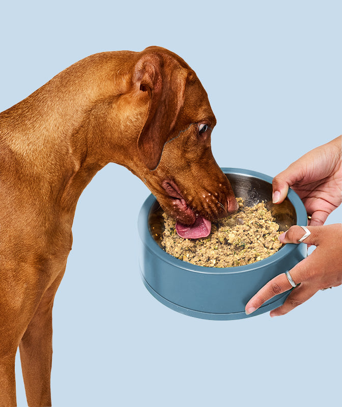 Low Phosphorus Pork
