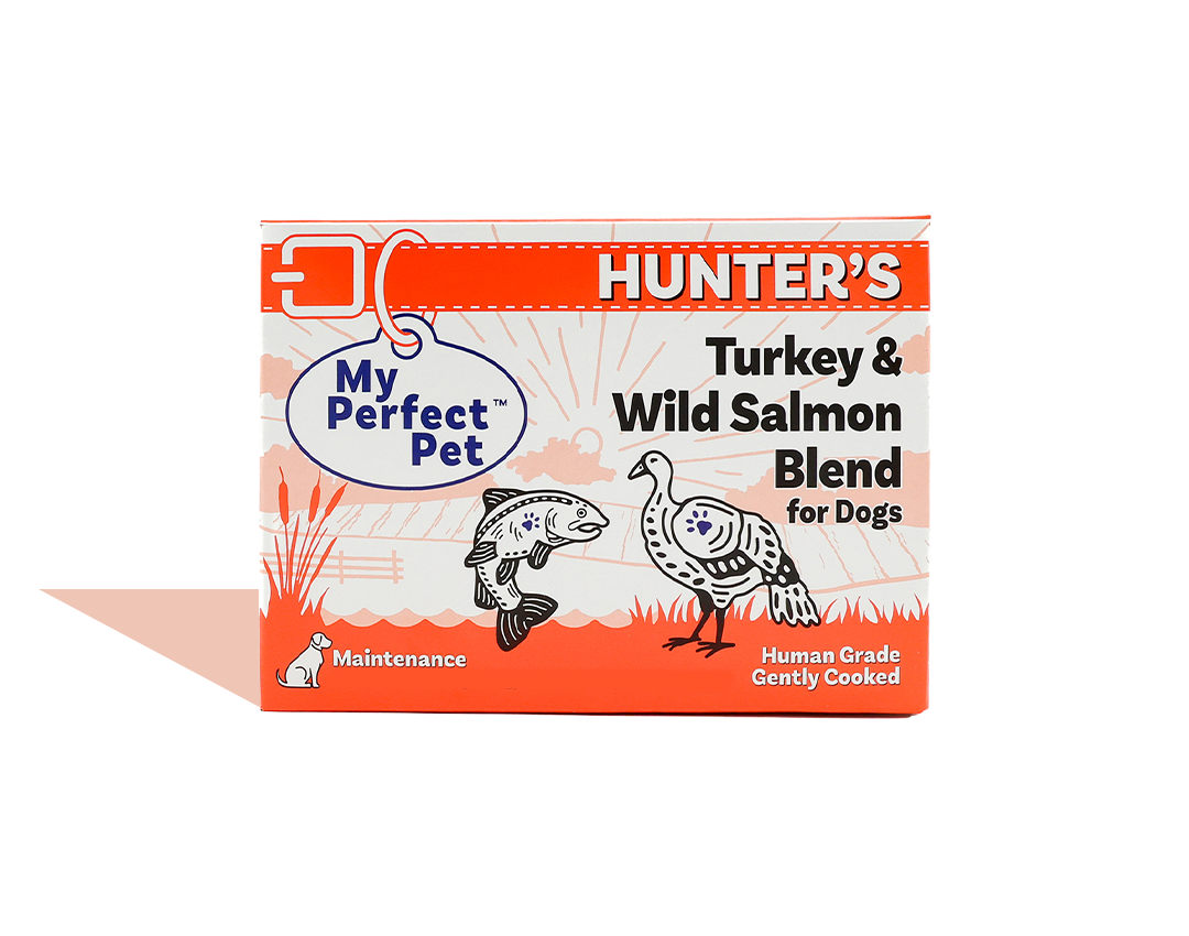 Turkey and Wild Salmon