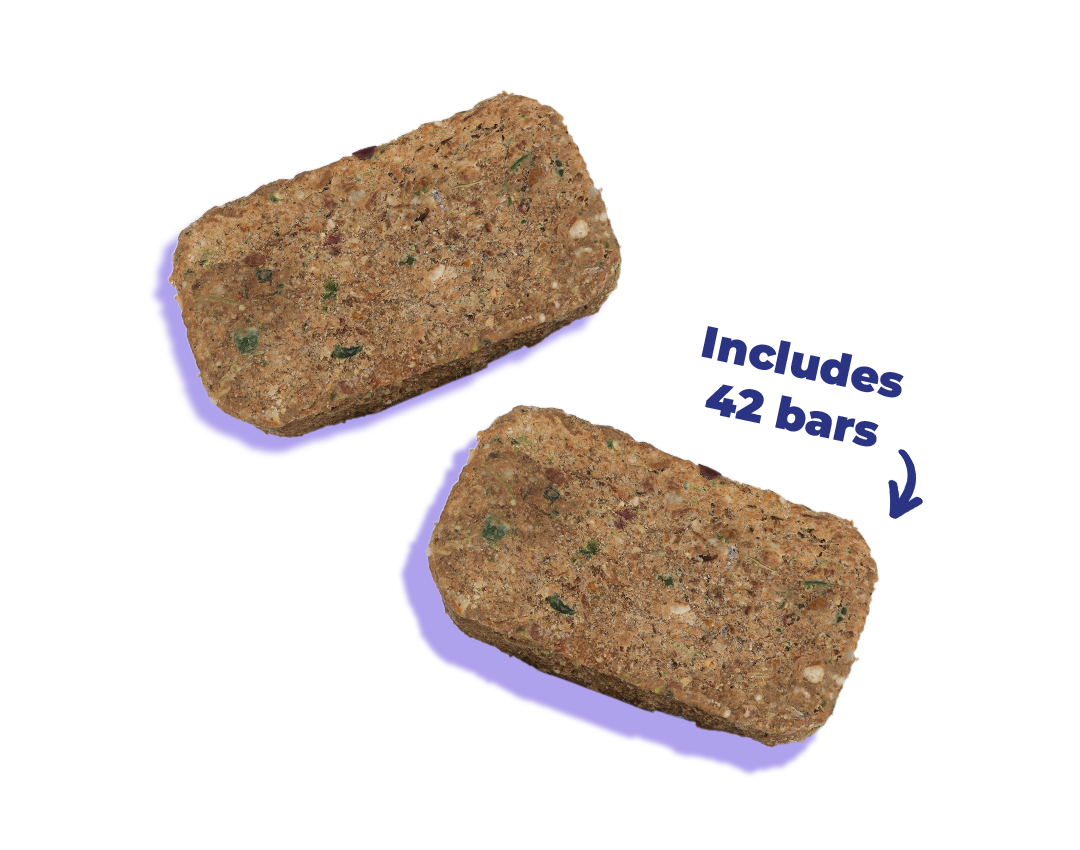 Beef