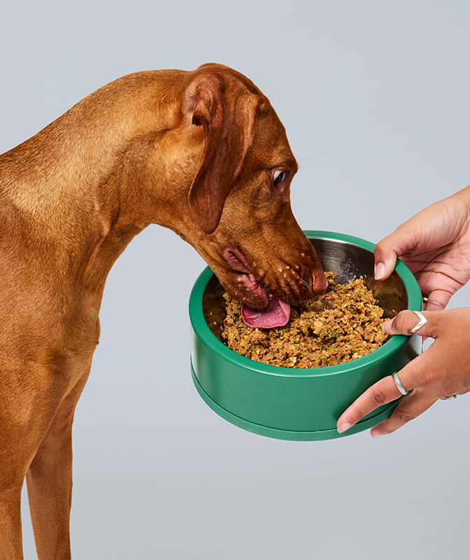 Low Phosphorus Pork