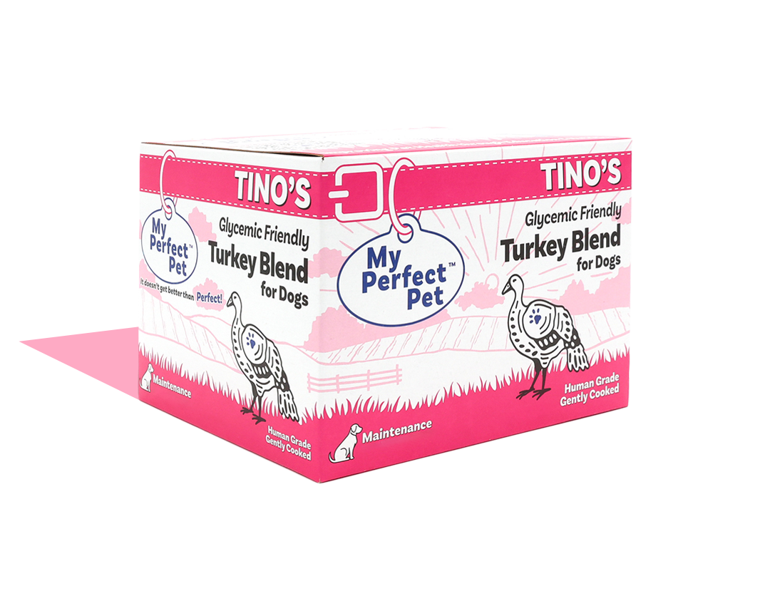 Glycemic Friendly Turkey