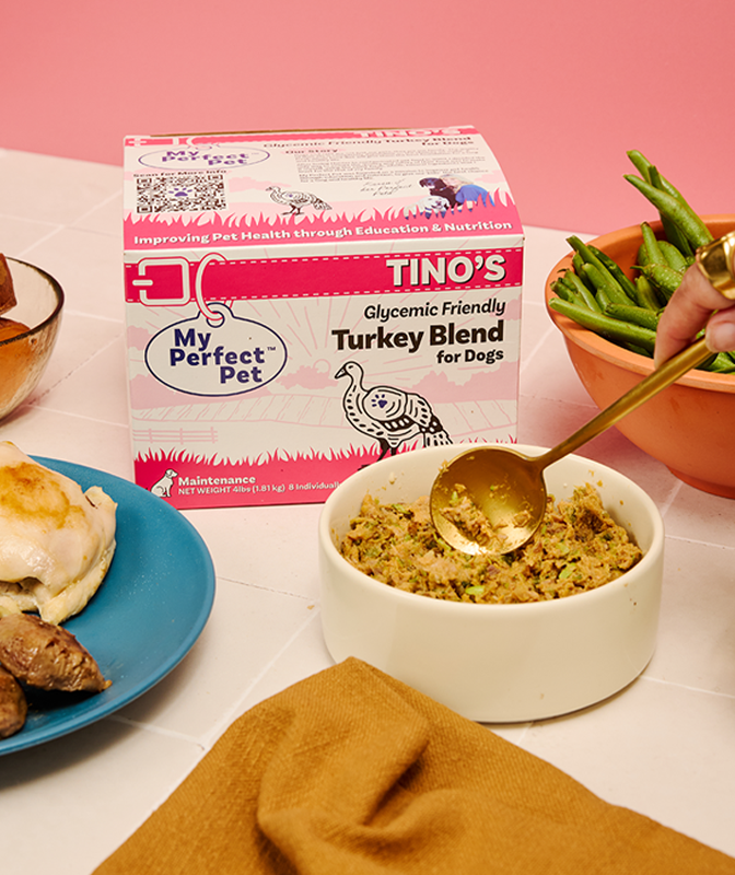 Glycemic Friendly Turkey
