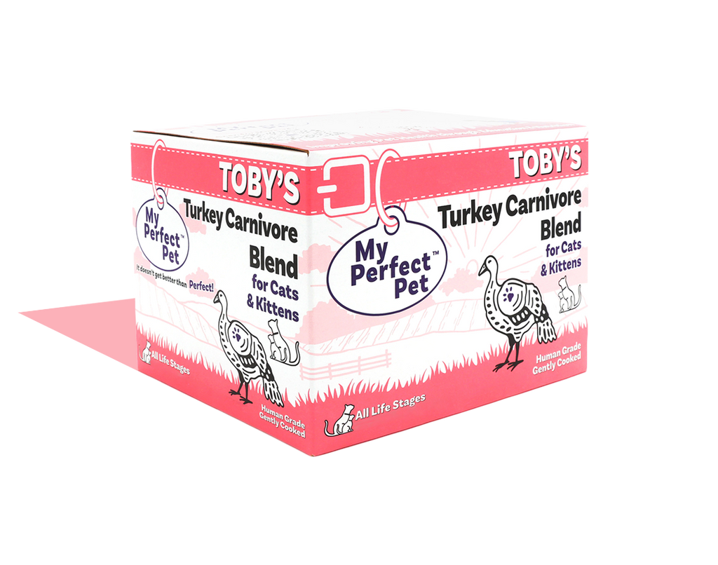 Turkey Carnivore