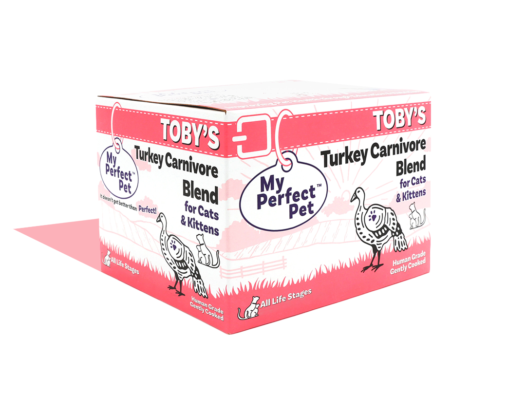 Turkey Carnivore