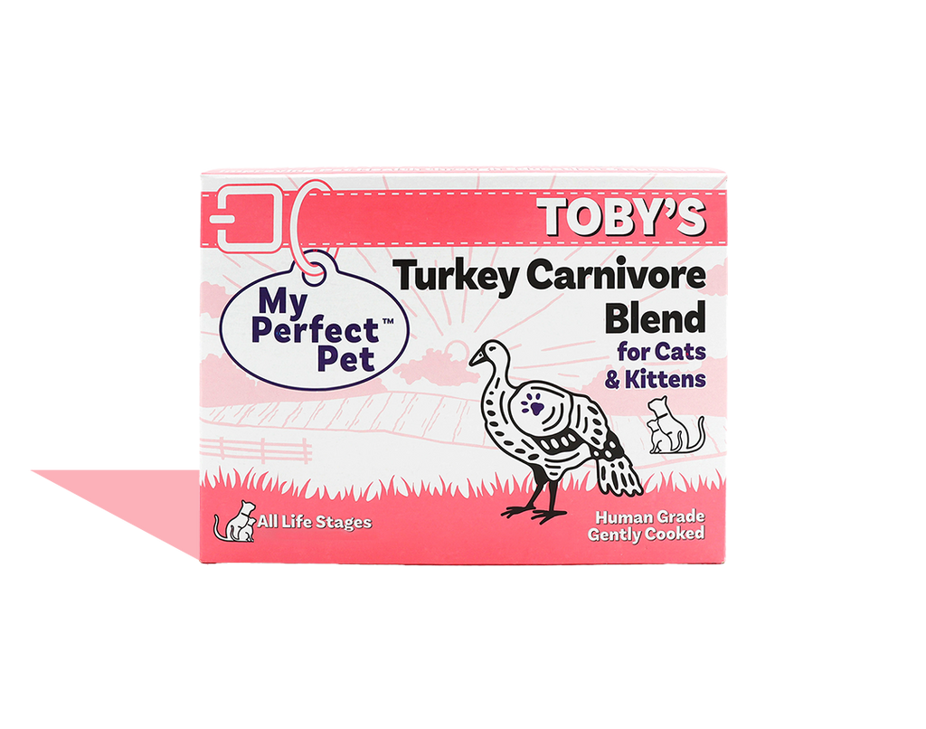 Turkey Carnivore