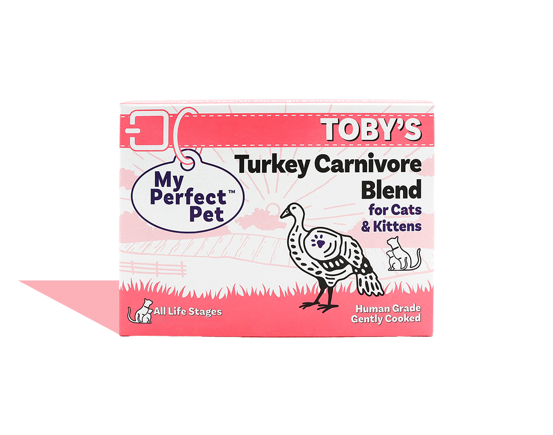 Turkey Carnivore